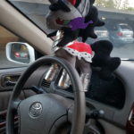 King Sombra mind controlling his driving slave on the road to Babscon 2019 with Hail King Sombra